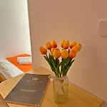Magnolia 벌러톤세페즈드