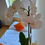 Magnolia 호텔 벌러톤세페즈드