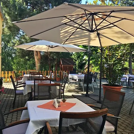 Magnólia Balatonszepezd