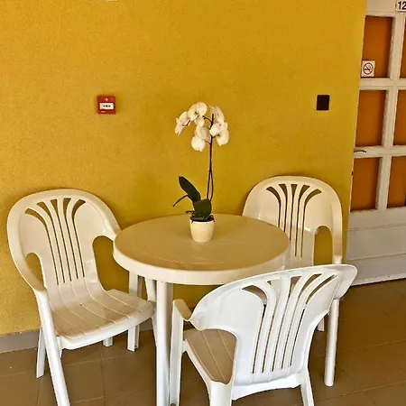 Magnolia Balatonszepezd
