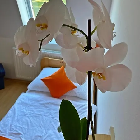 Magnólia Szálloda Balatonszepezd
