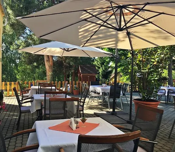 Magnolia Balatonszepezd